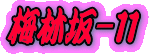 �����Q�O�N�R���U���B�e