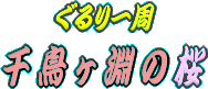 平成２０年の千鳥ヶ淵の桜です。