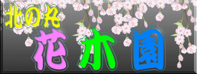 �k�̊ی����̉Ԗ؉��Љ�