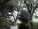 ���̋x�e�ꏊ